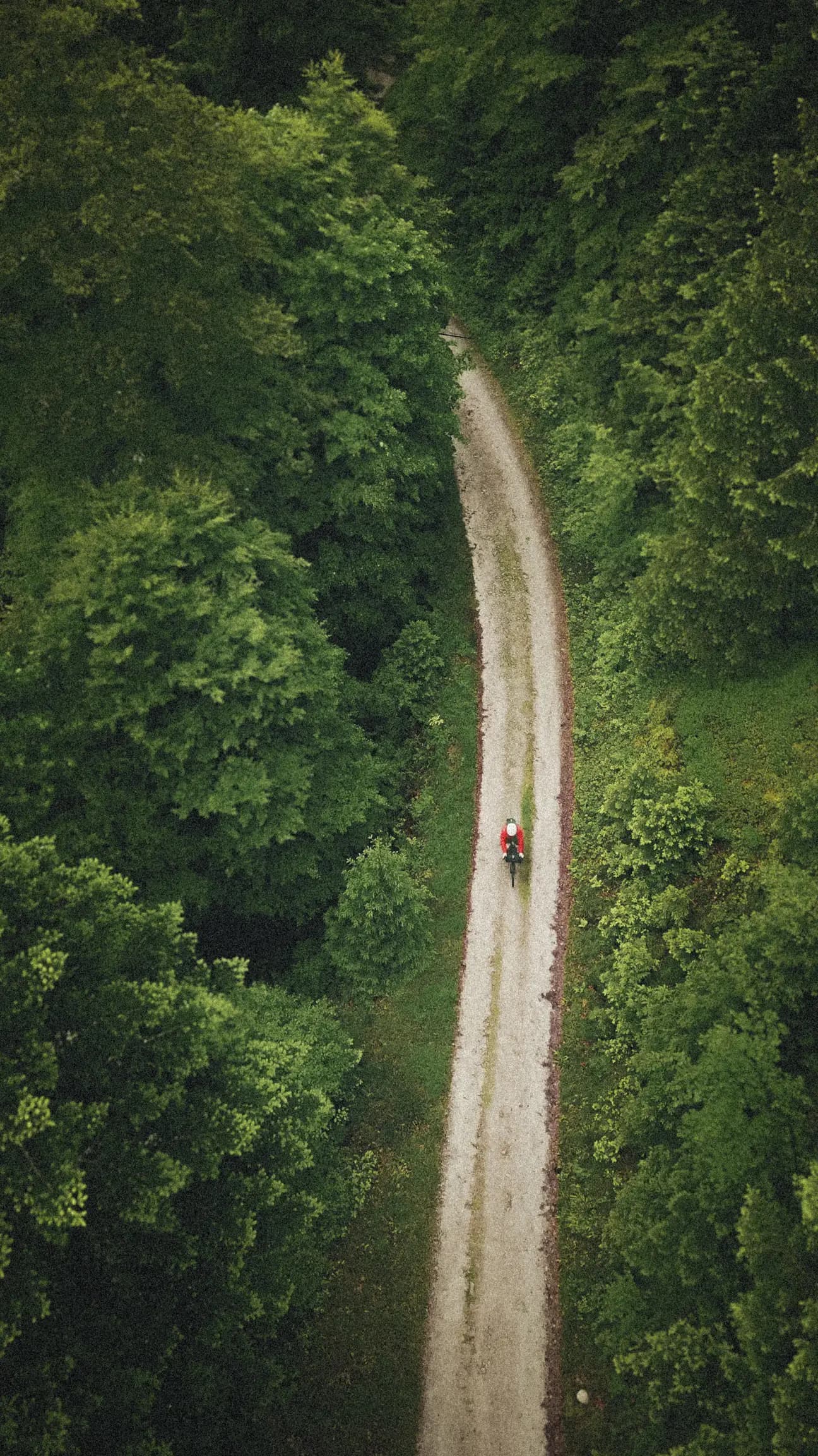 The Grain 2026 — Vue aérienne, route en forêt