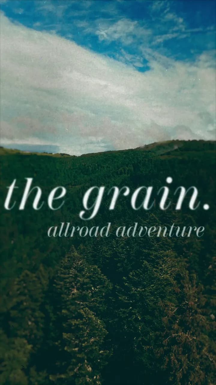 The Grain 2026 — the film